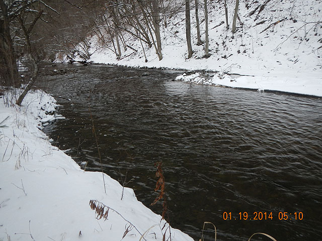 mlk and misc 01-20-2014 025.jpg -                                Scenic 4